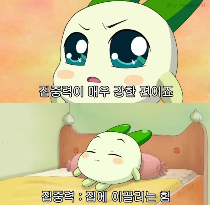 프로필사진