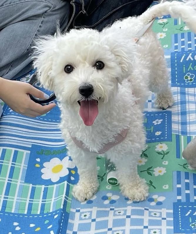 프로필사진