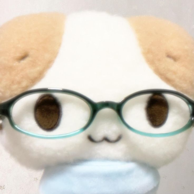 프로필사진