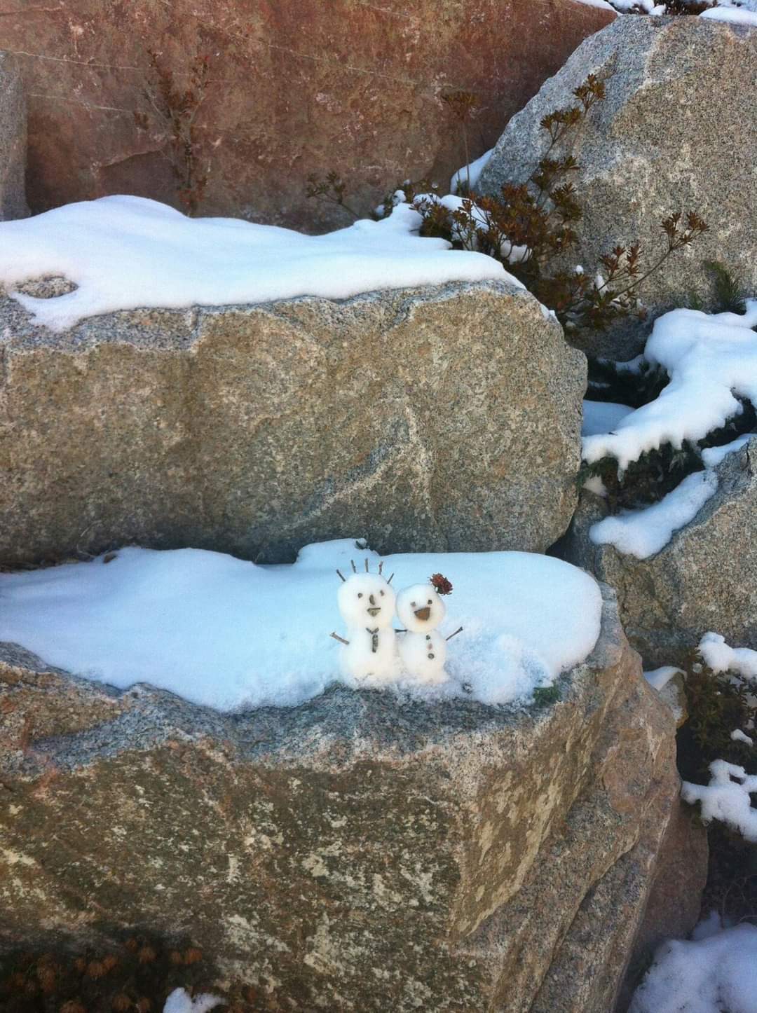 블로그 이미지