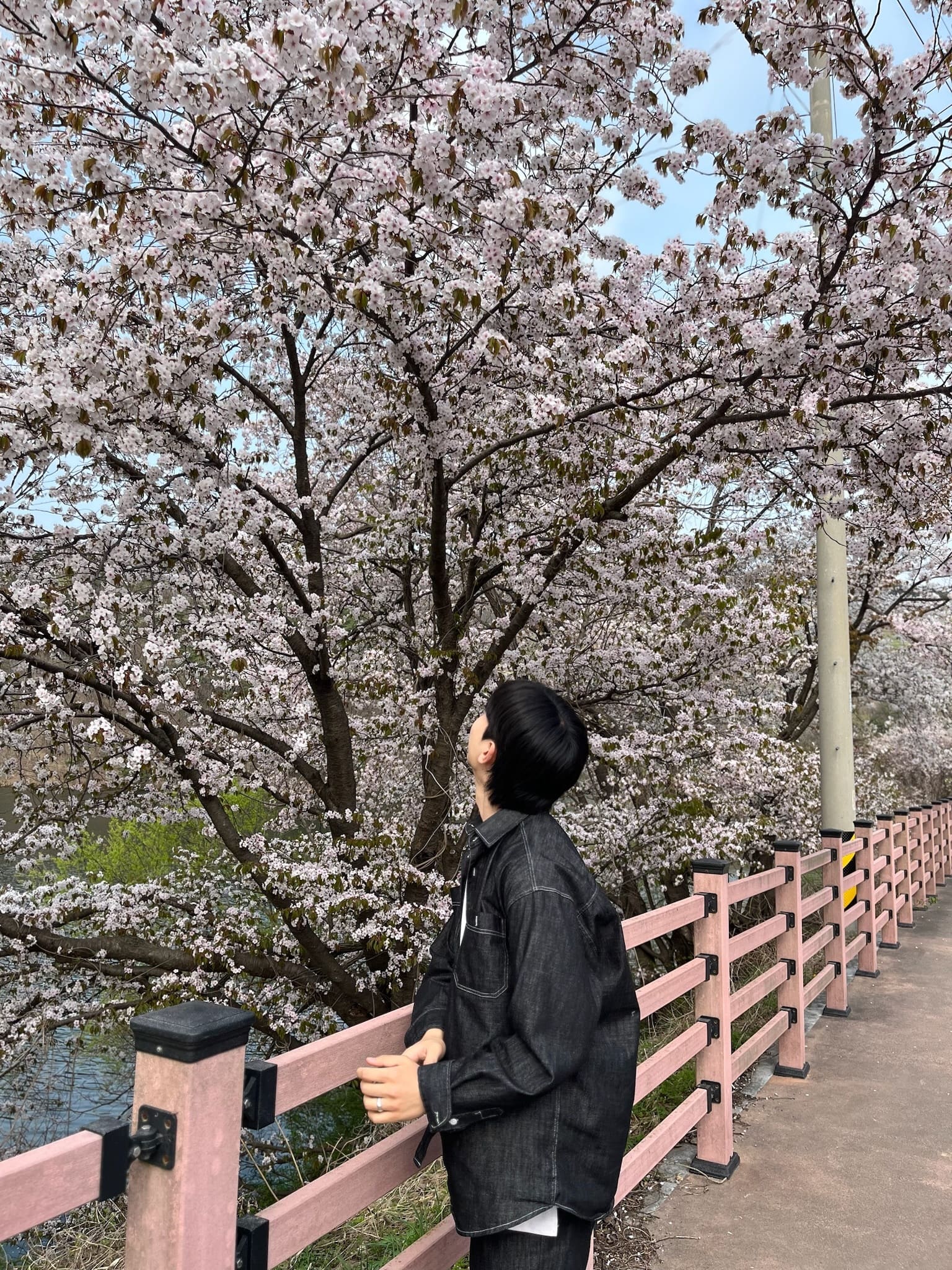 hyeon.q