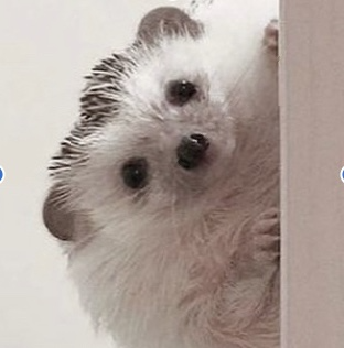 블로그 이미지