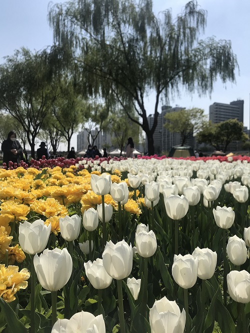 프로필사진