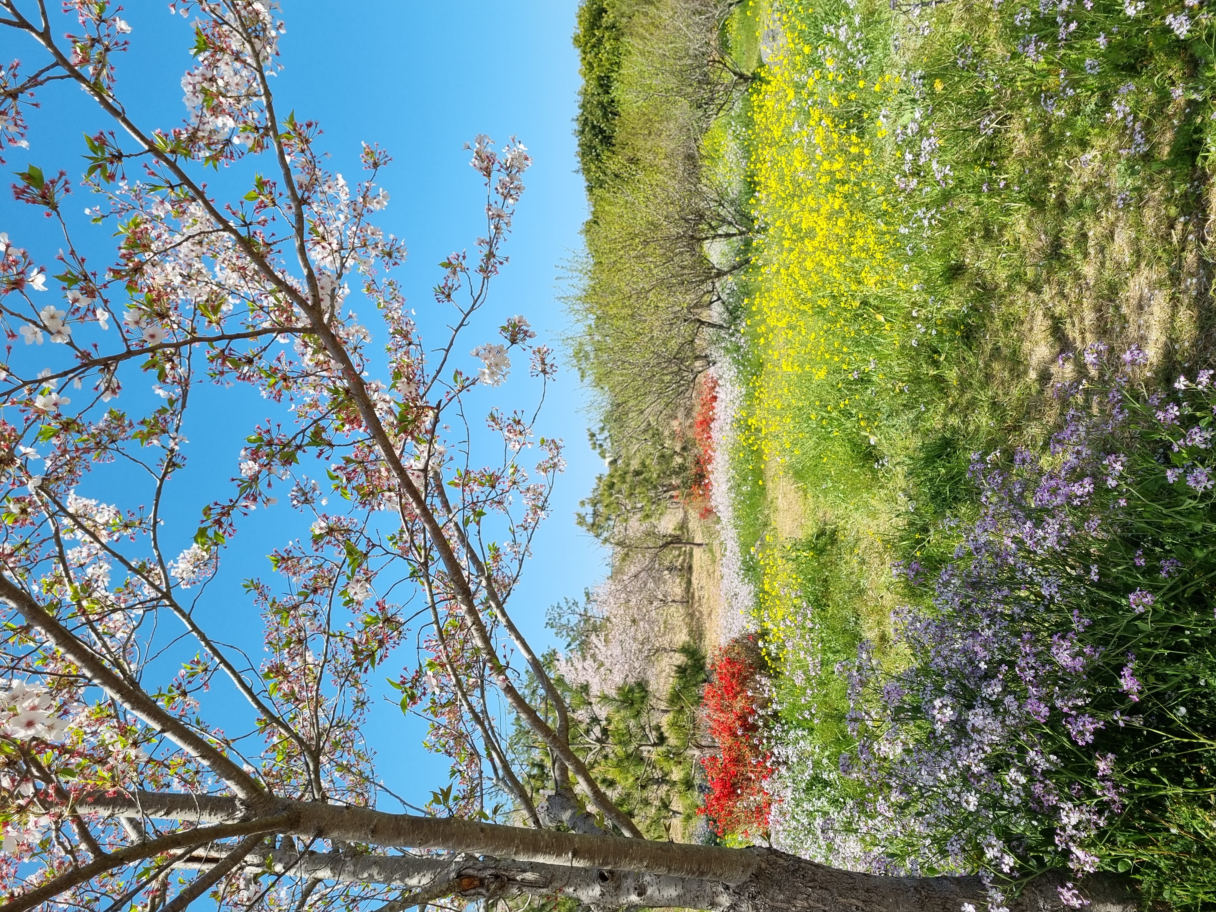 프로필사진