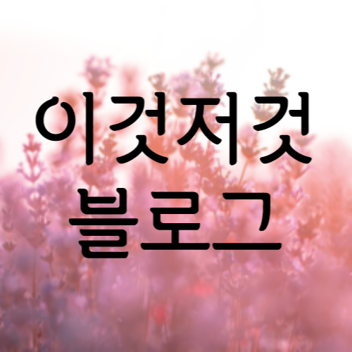 블로그 이미지