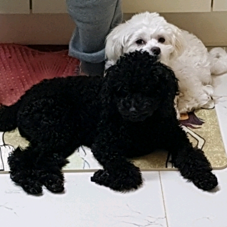 블로그 이미지