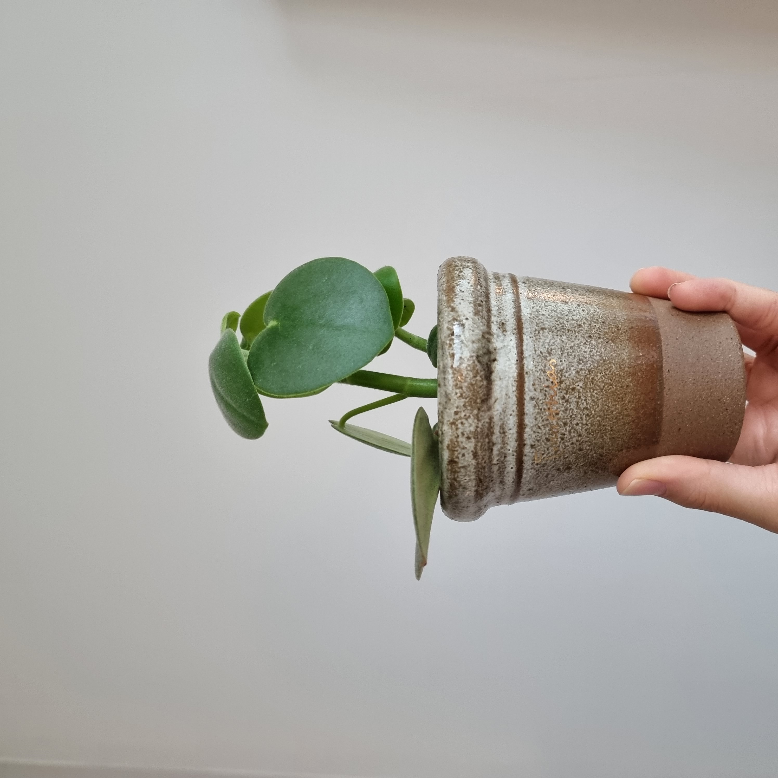 프로필사진