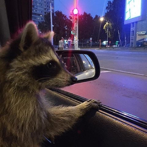 프로필사진