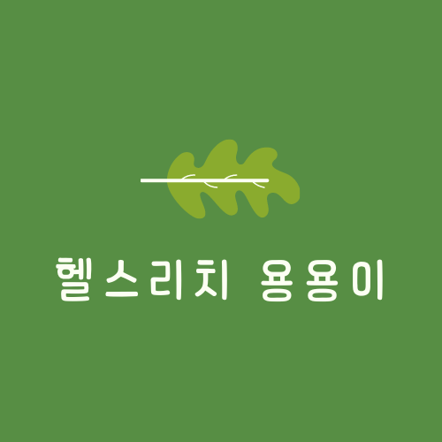 프로필사진