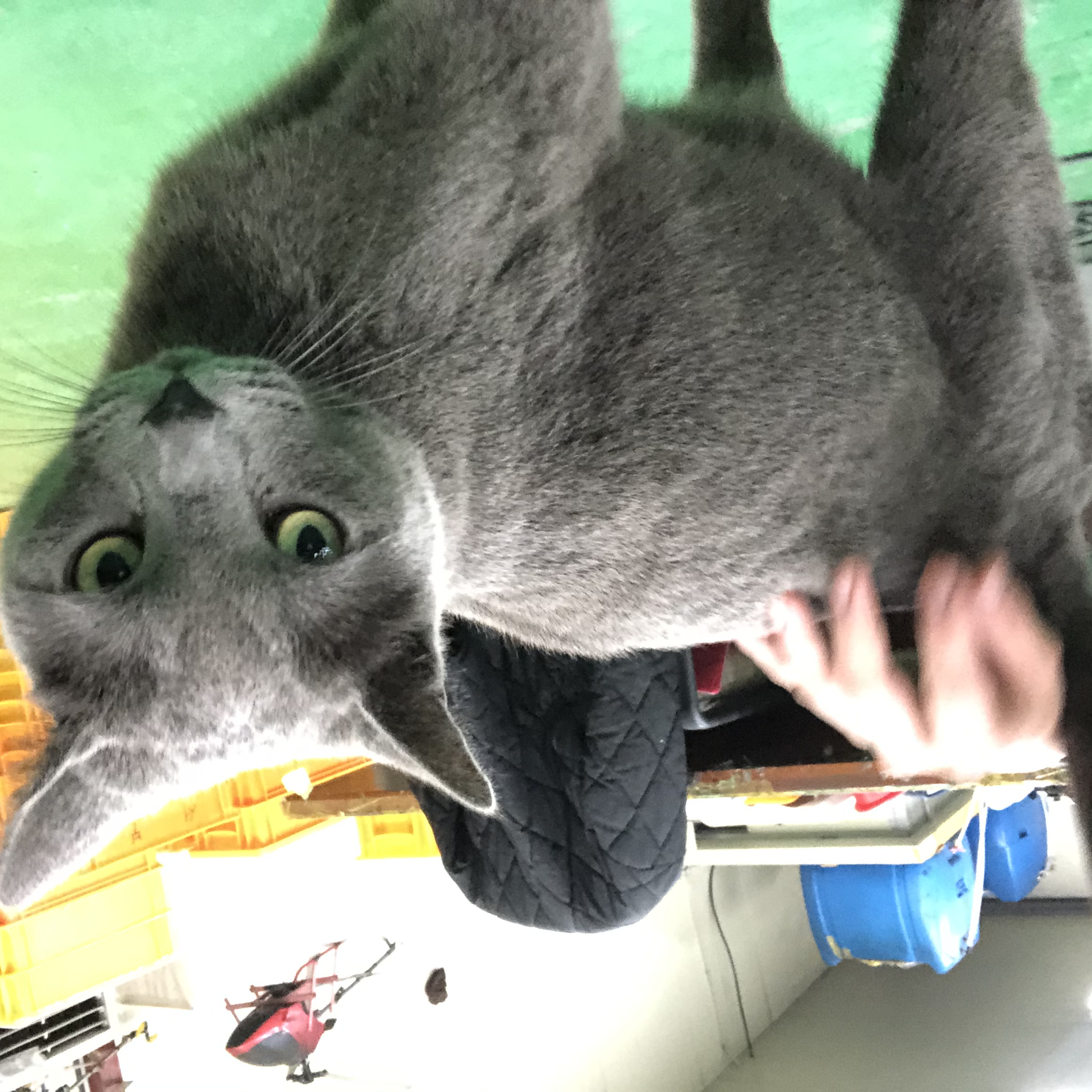 프로필사진