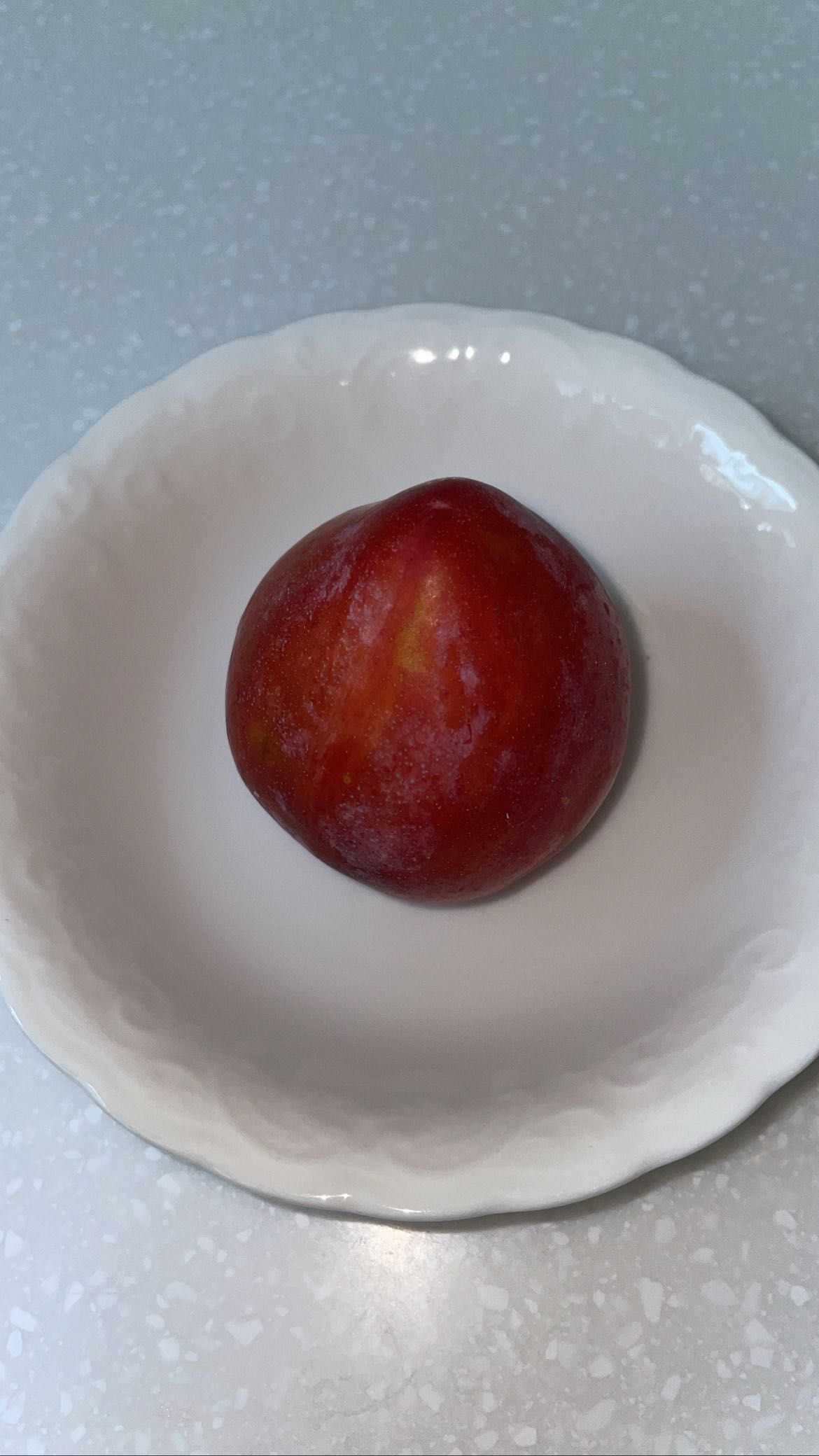 프로필사진