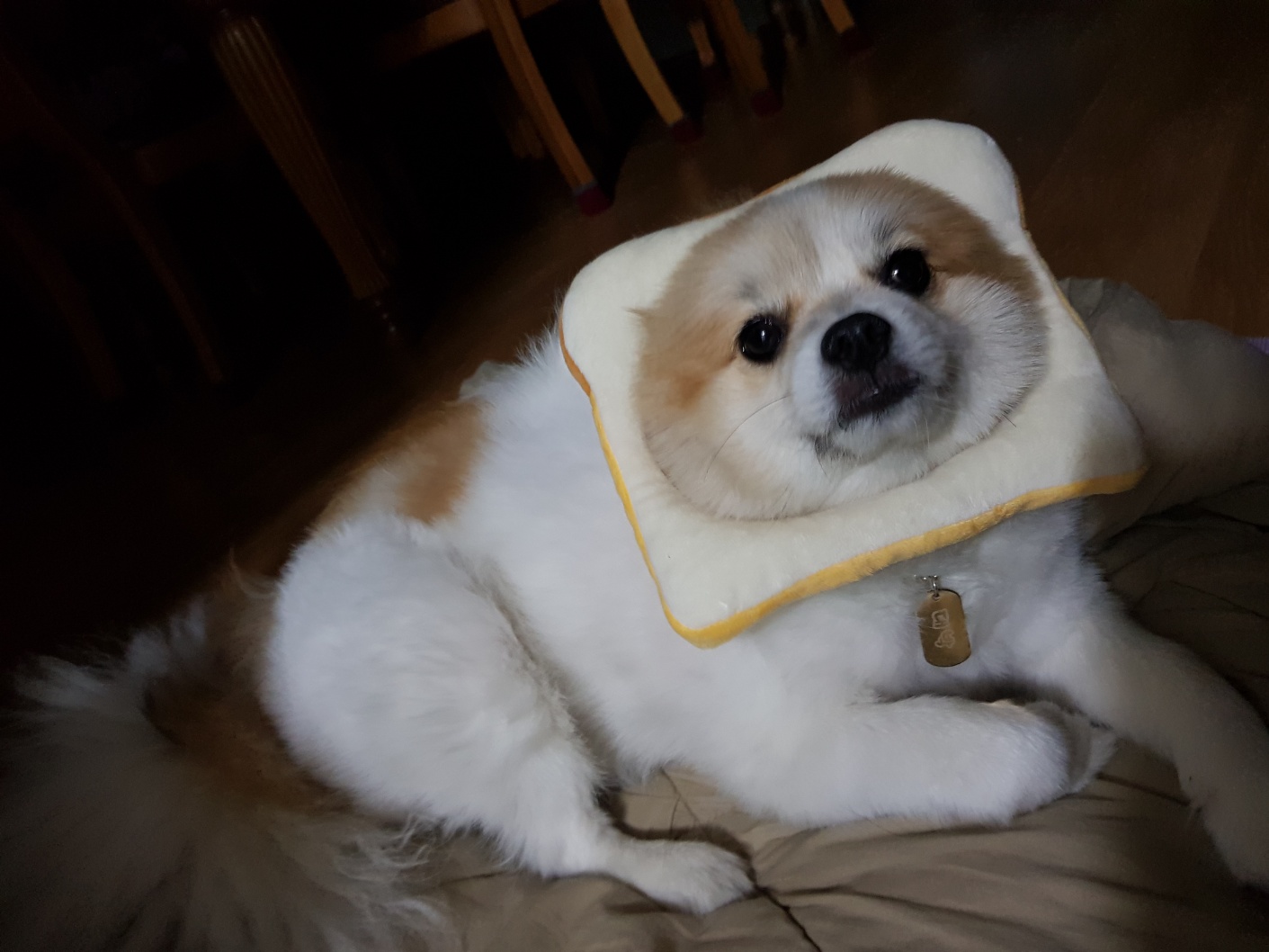 프로필사진