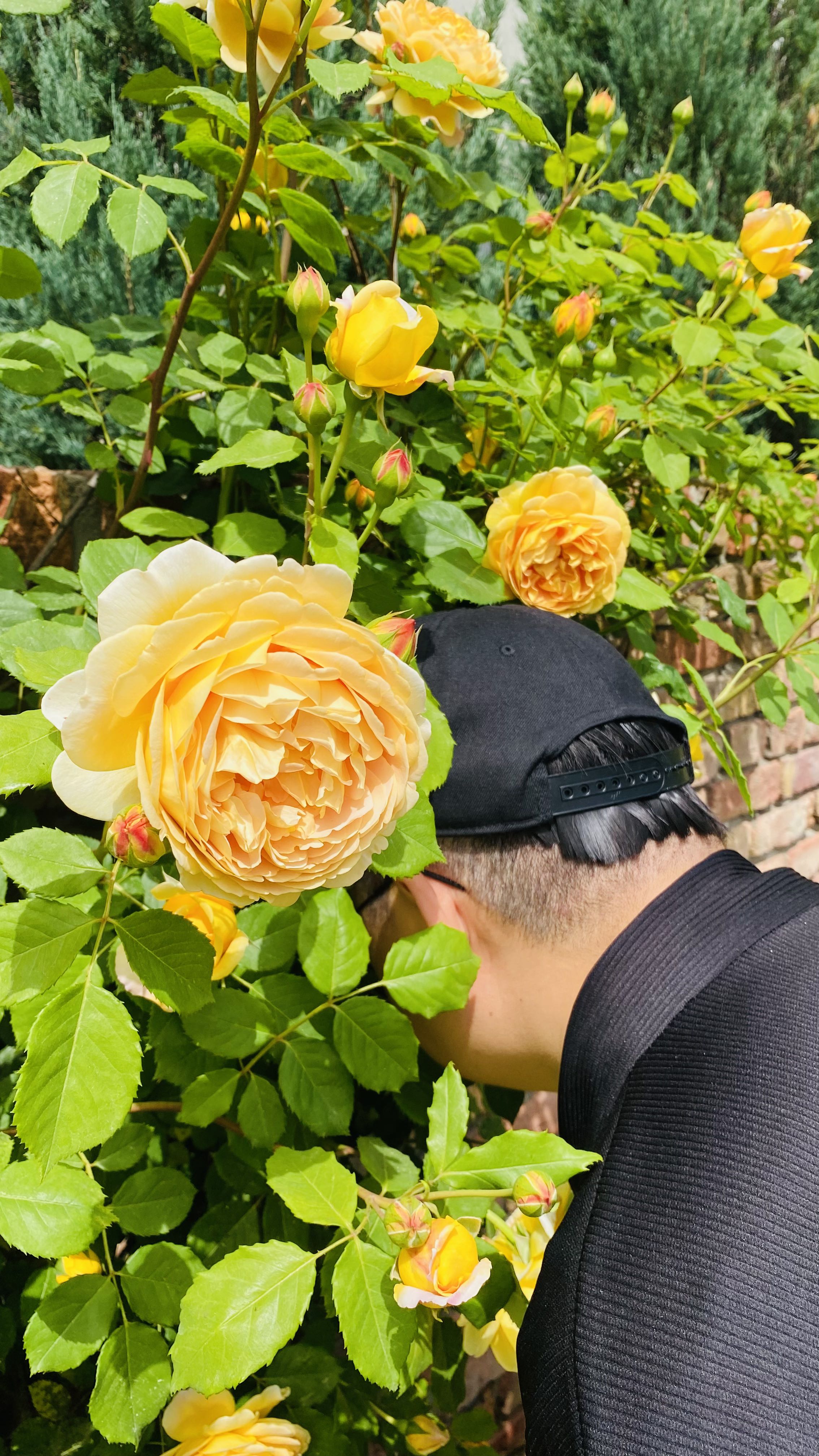 블로그 이미지