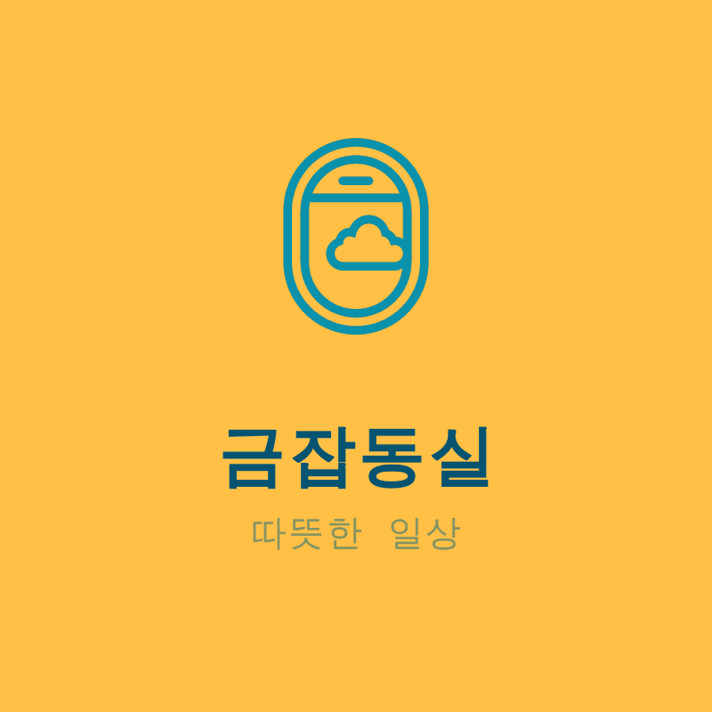 프로필사진