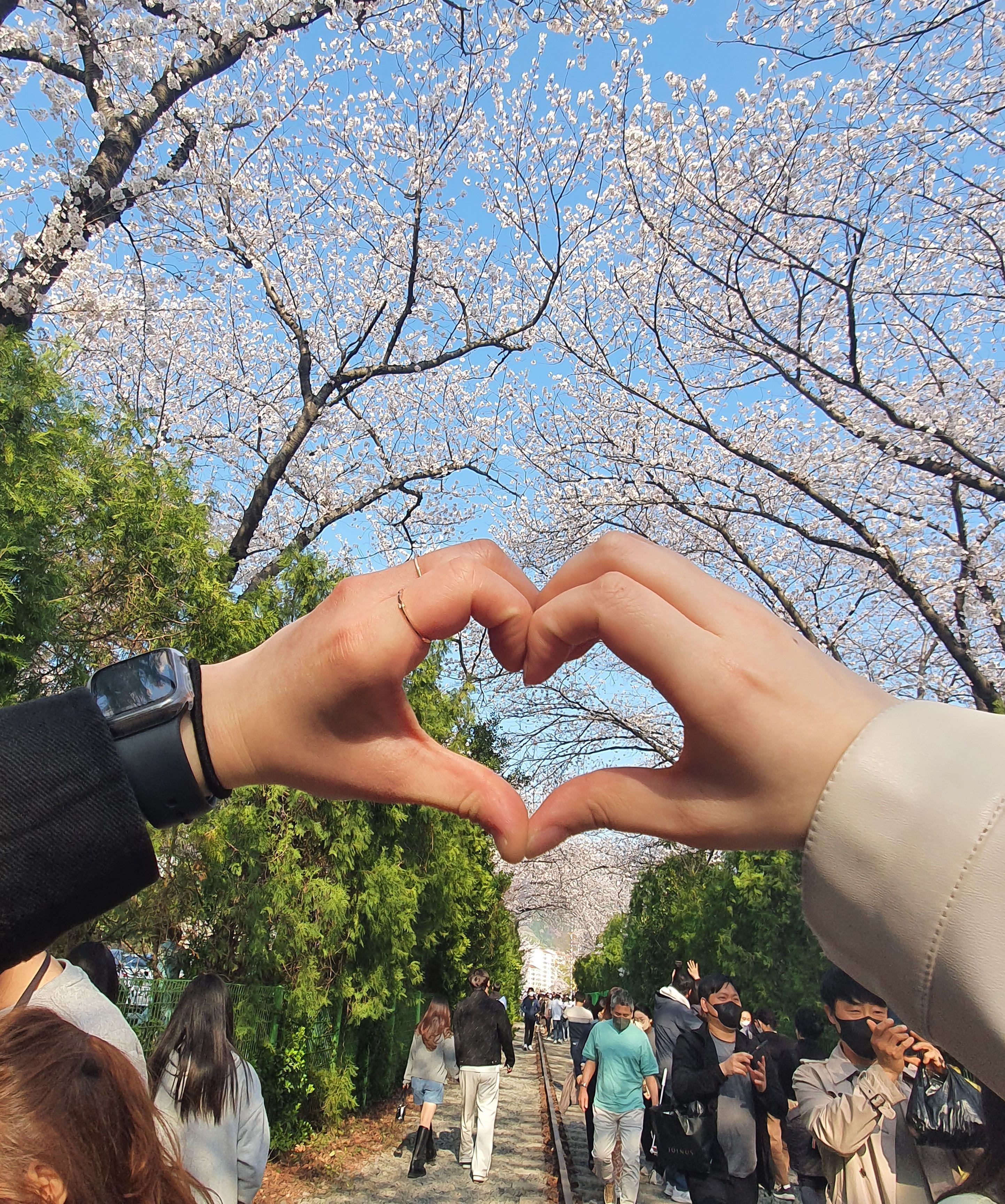 프로필사진