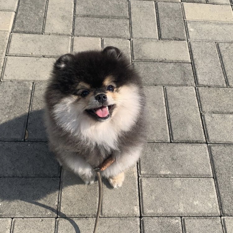 서주녁