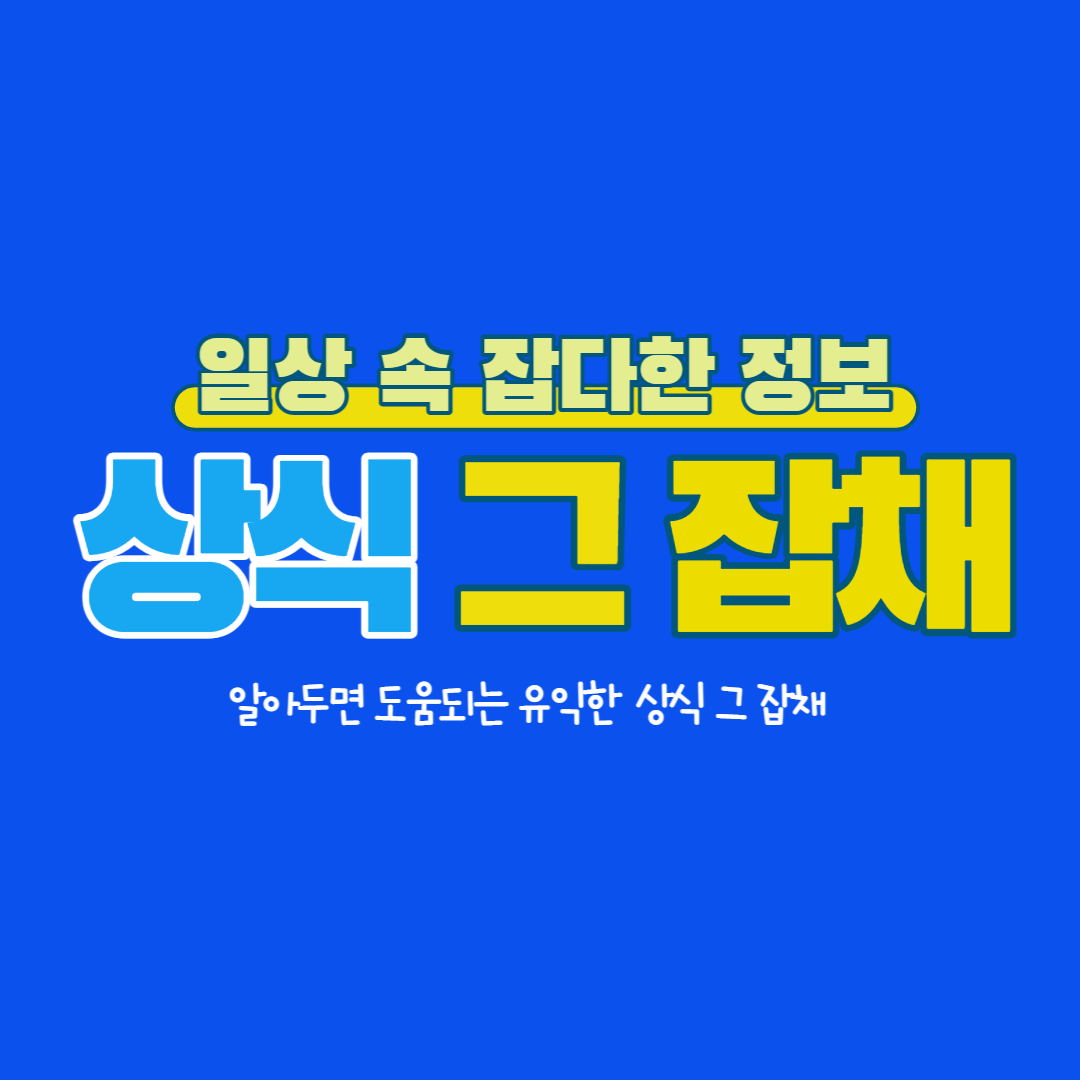 블로그 이미지