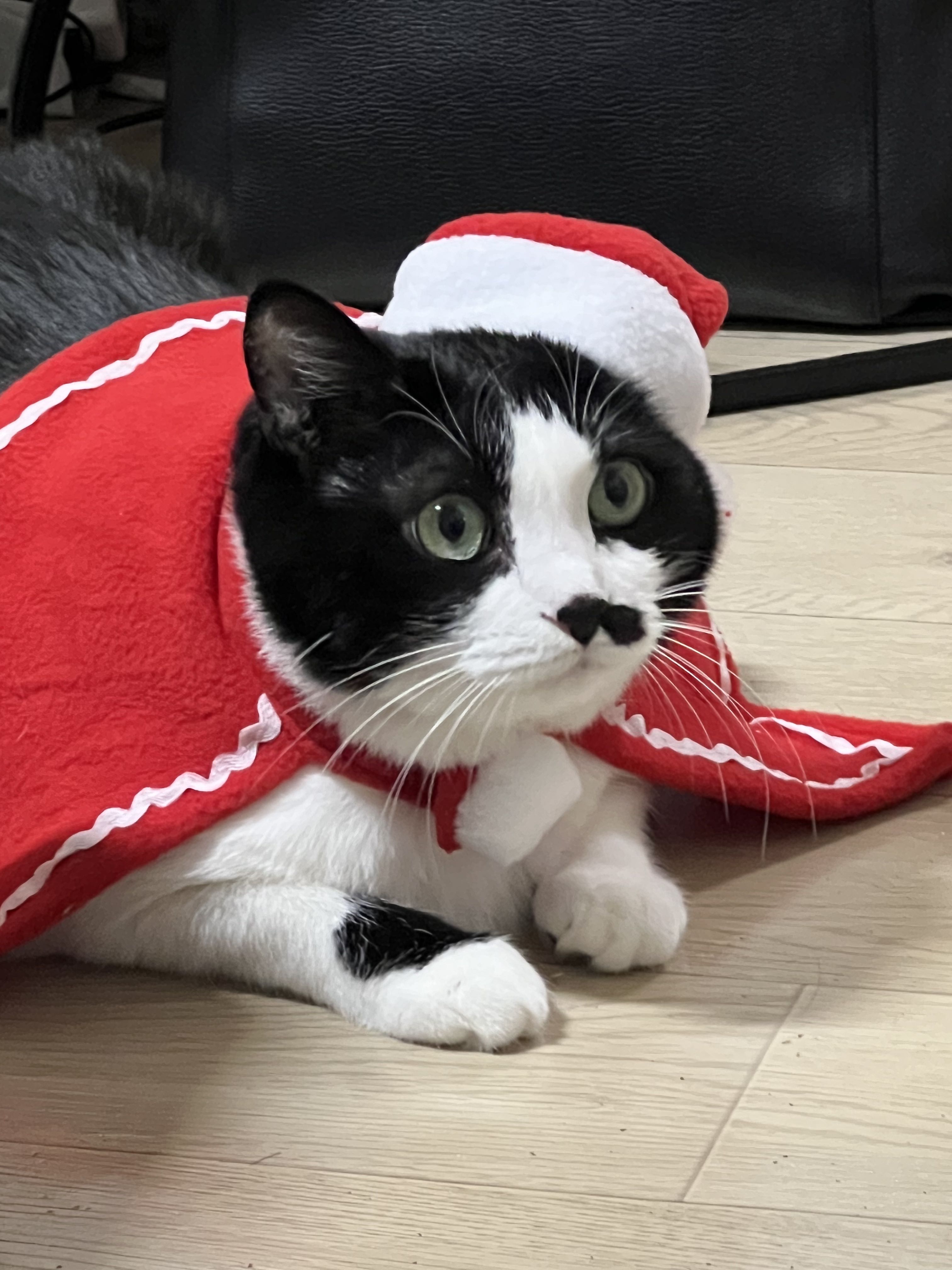 프로필사진