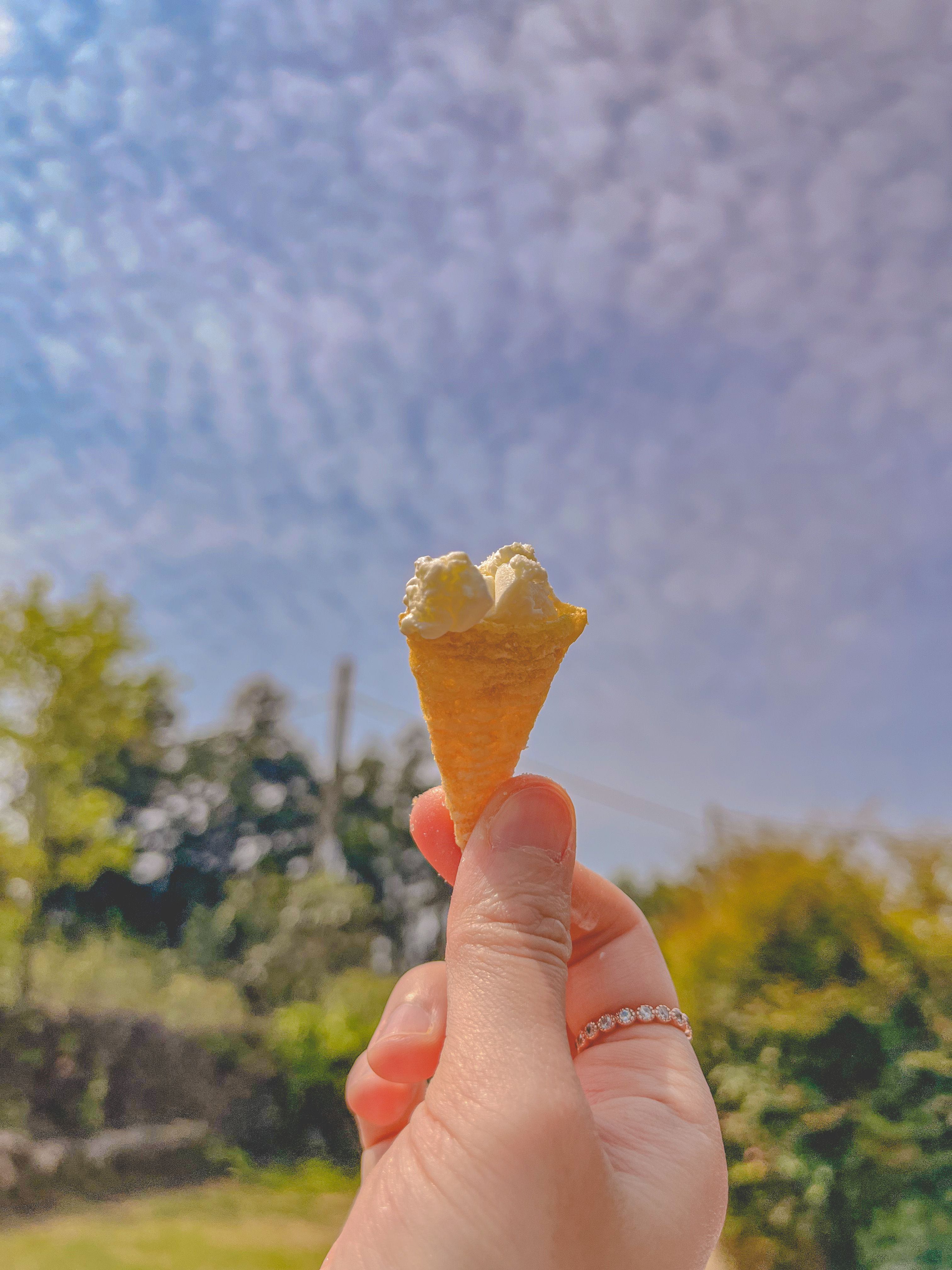 프로필사진