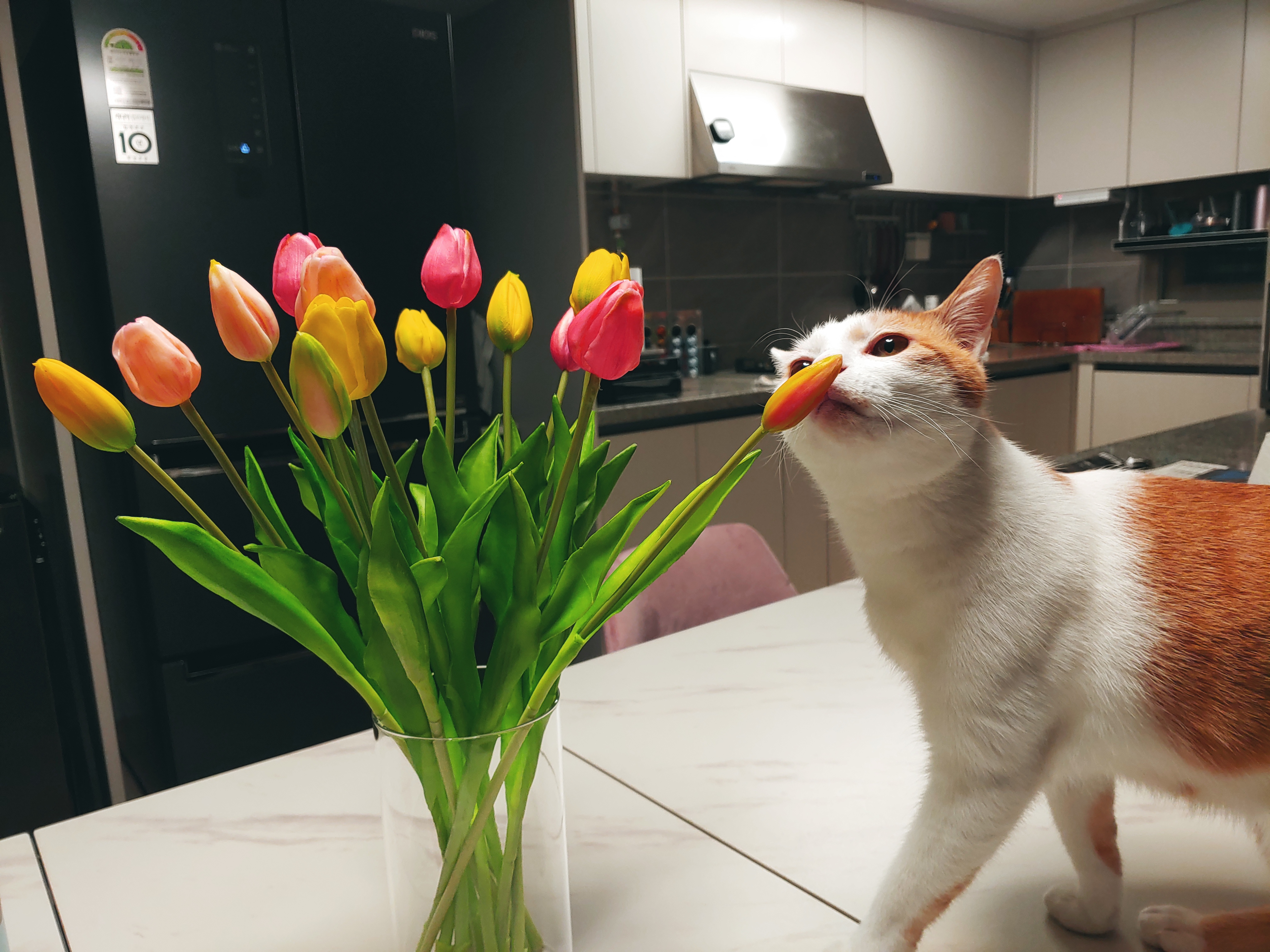 블로그 이미지