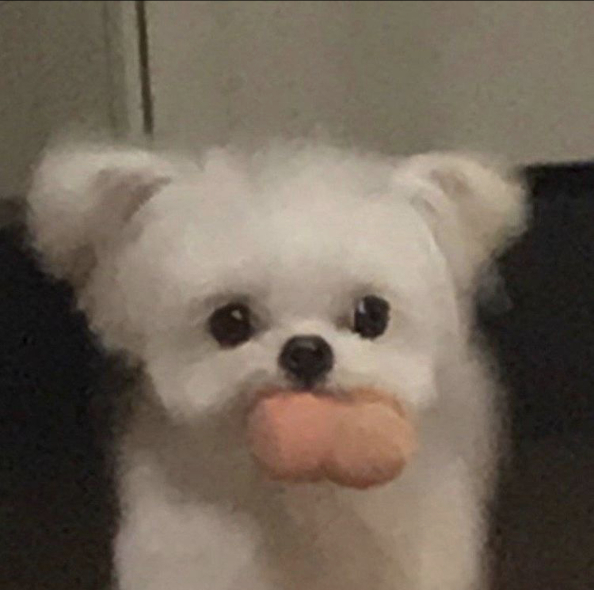 프로필사진