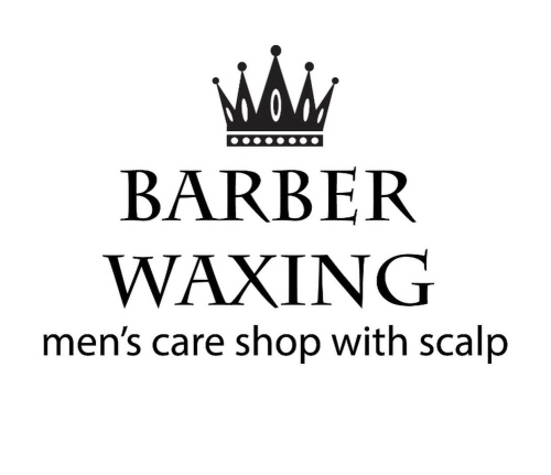 Tistory profile picture for @waxing