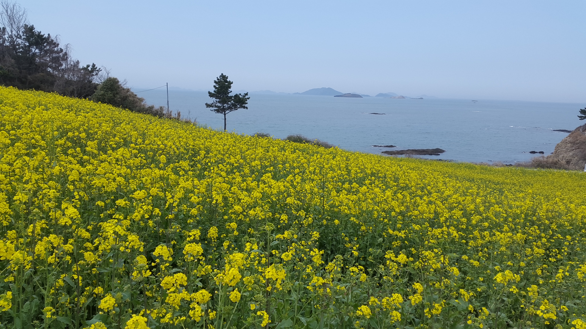 프로필사진