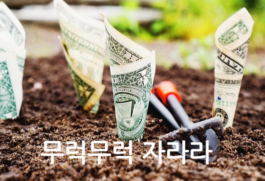프로필사진