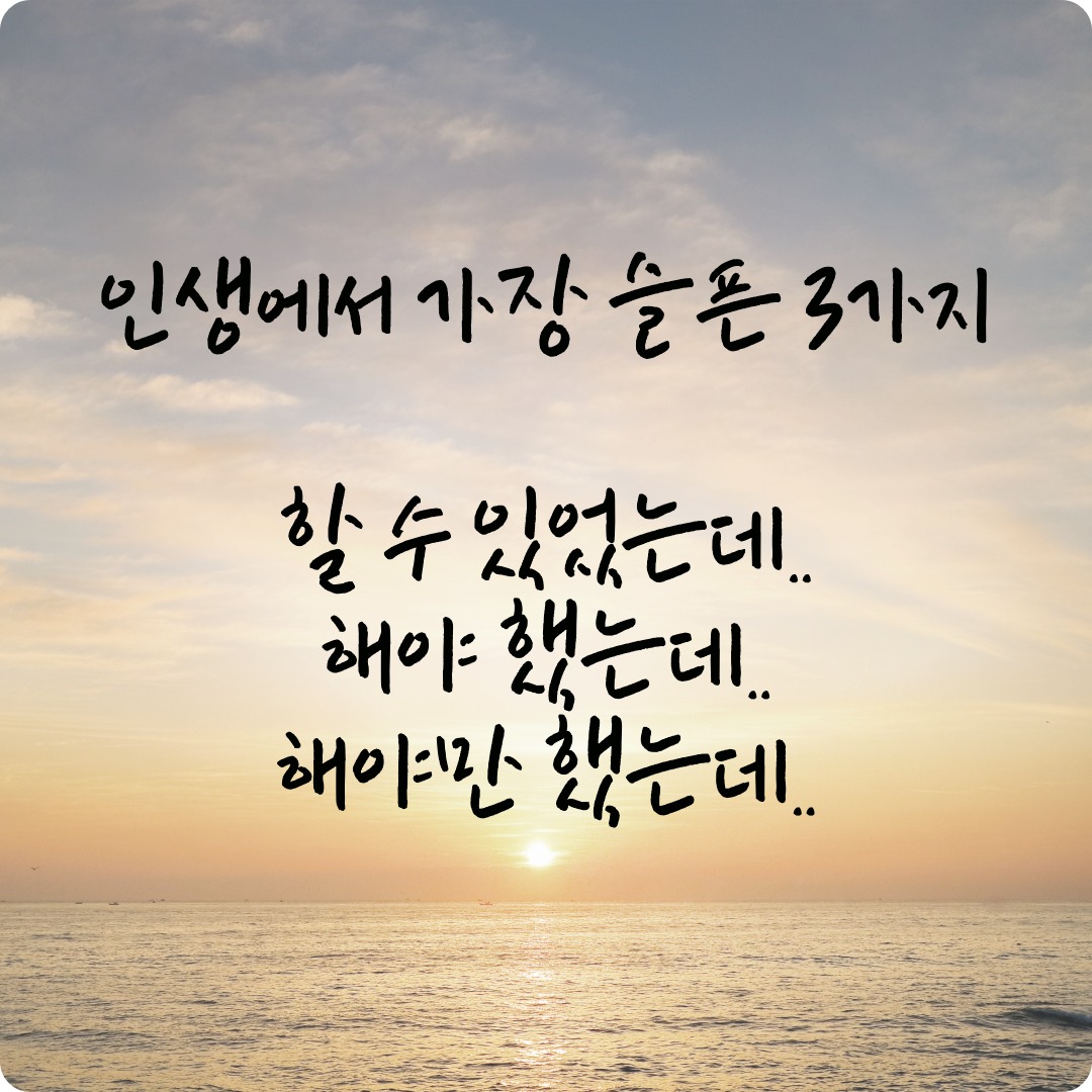 재하랑피카츄