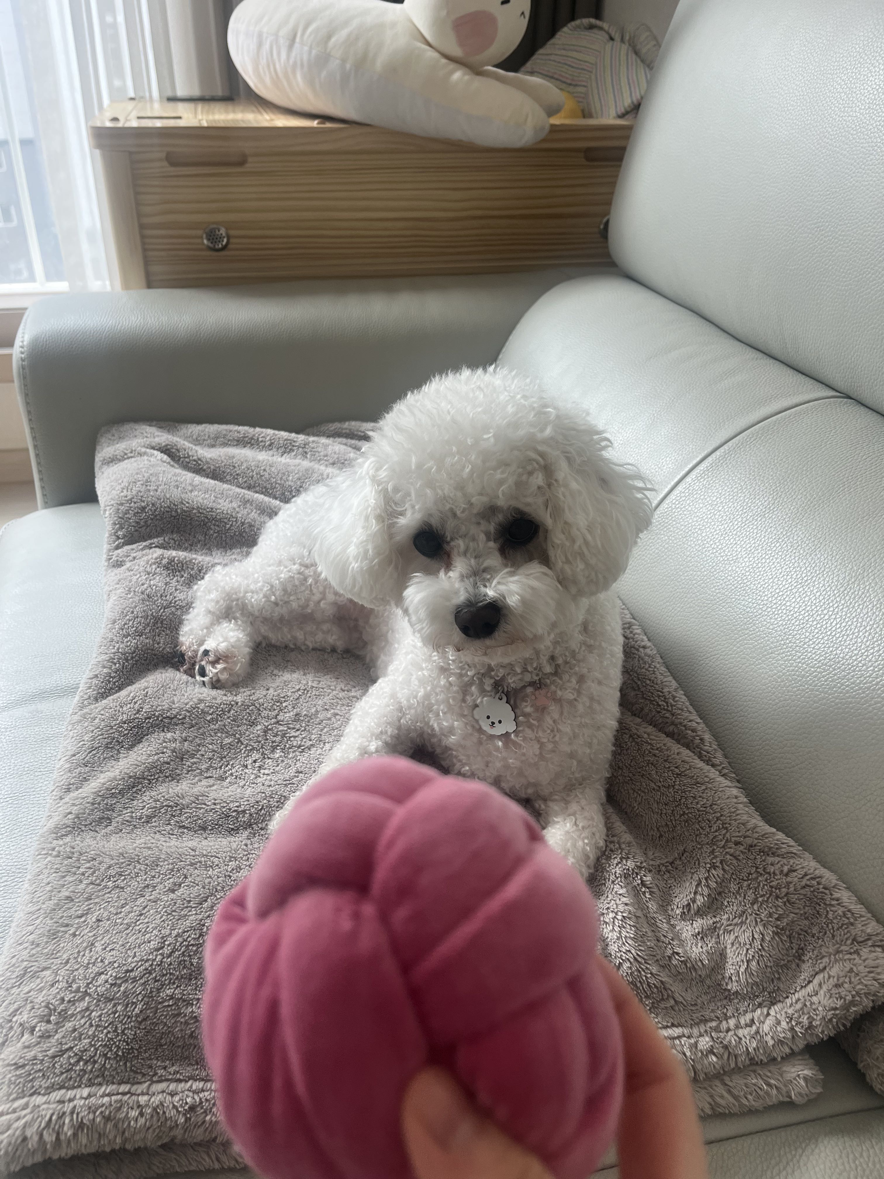 프로필사진