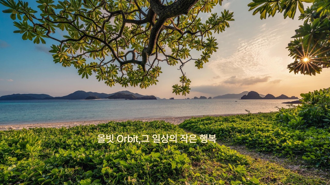 프로필사진