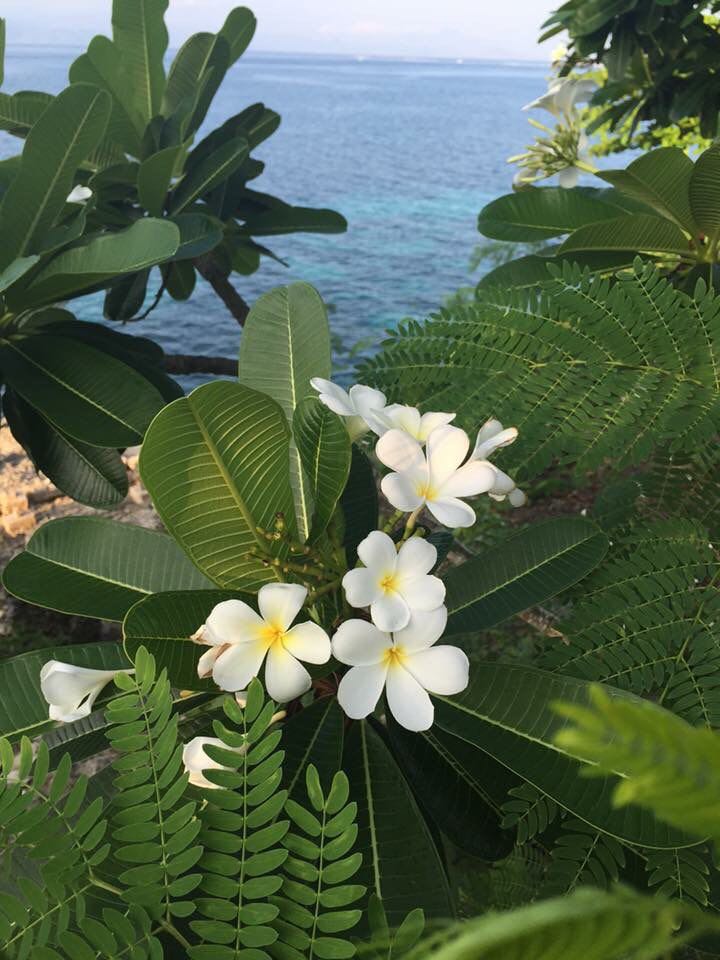 프로필사진