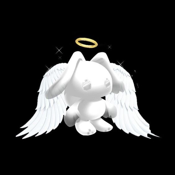 Tistory profile picture for @cannibals