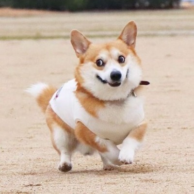Tistory profile picture for @courage