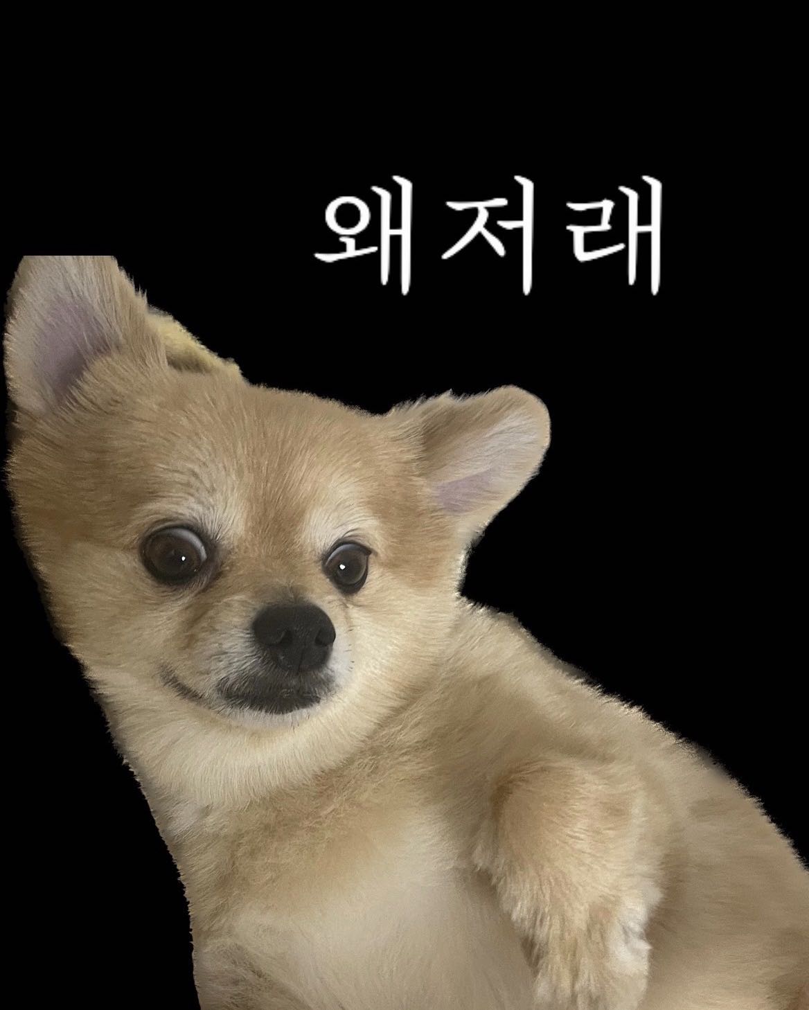 프로필사진