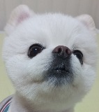 프로필사진