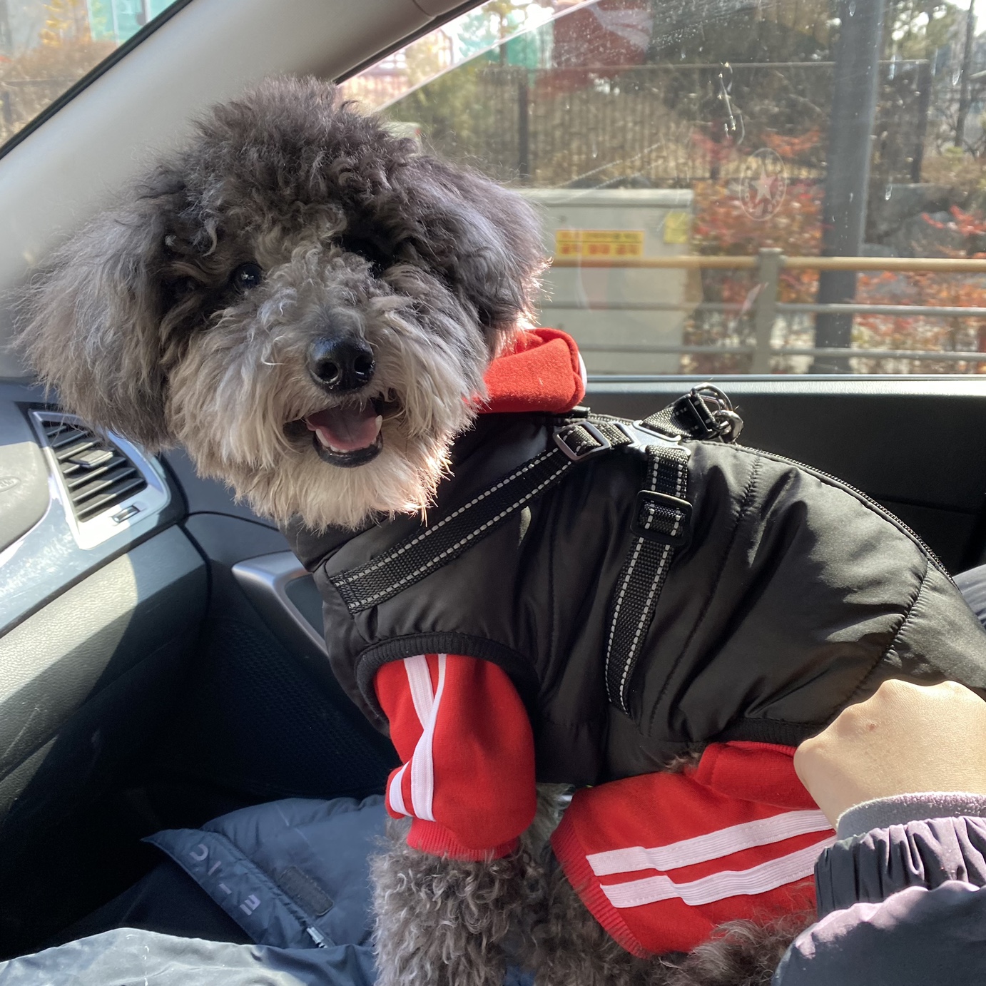 블로그 이미지