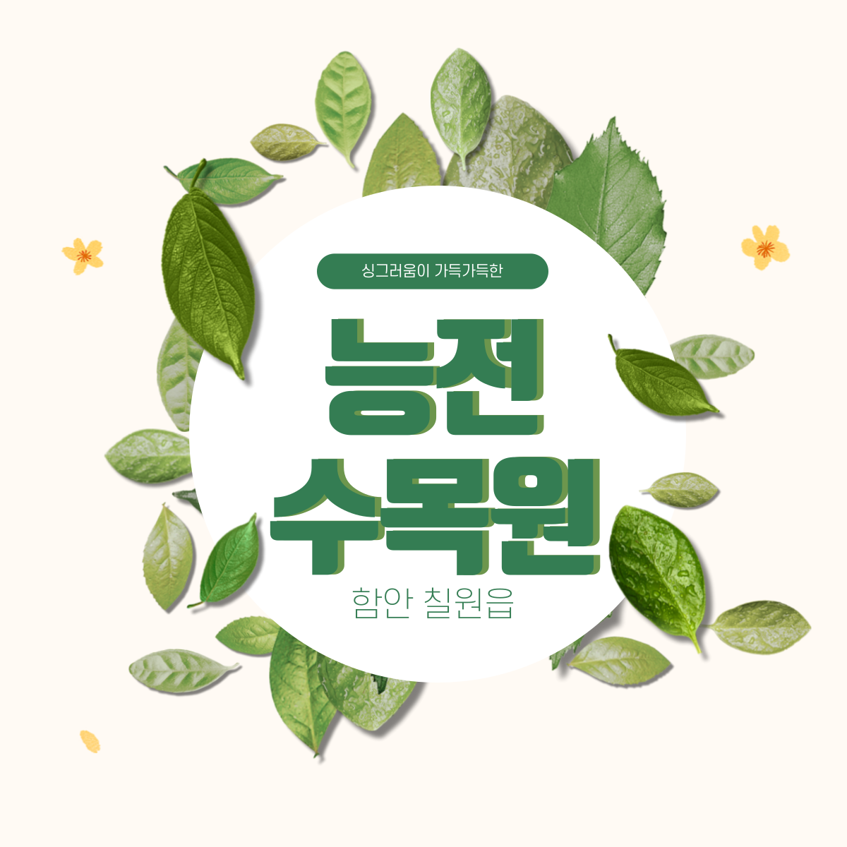 블로그 이미지