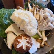 프로필사진