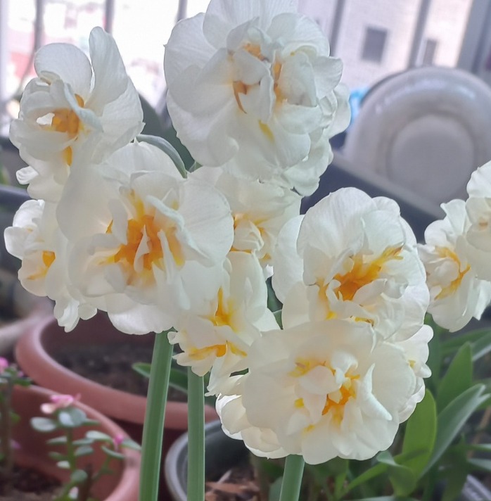 프로필사진