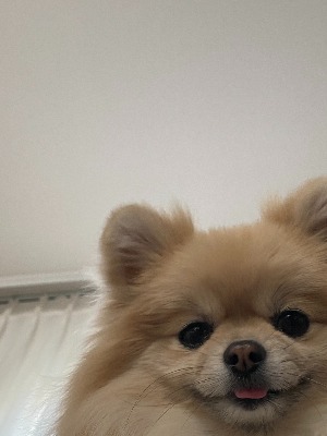 블로그 이미지