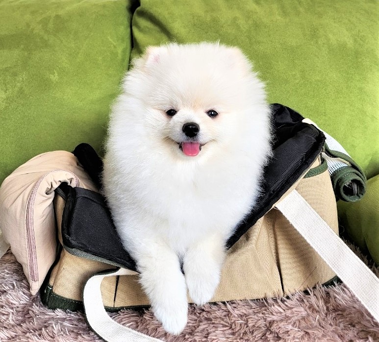 프로필사진