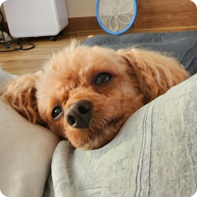 프로필사진