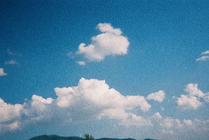 블로그 이미지