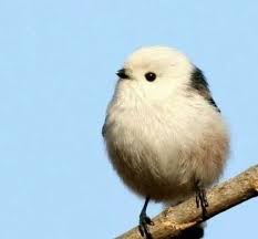 프로필사진