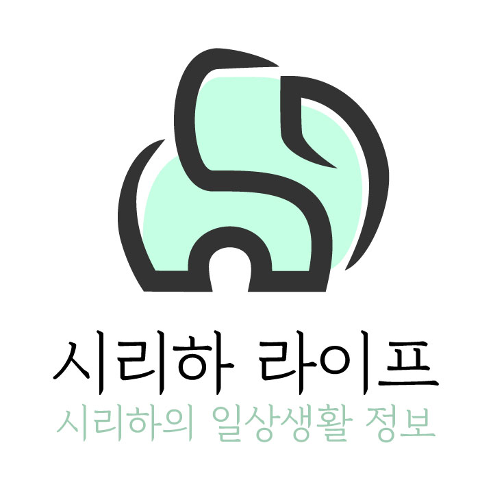 블로그 이미지