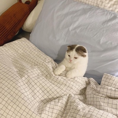 프로필사진
