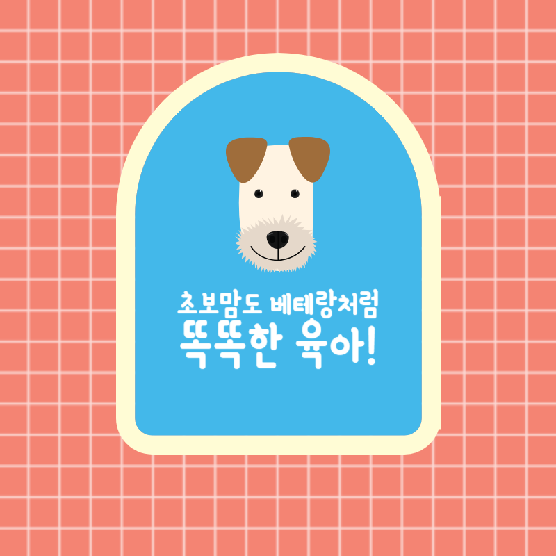 프로필사진