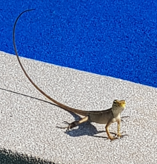 프로필사진