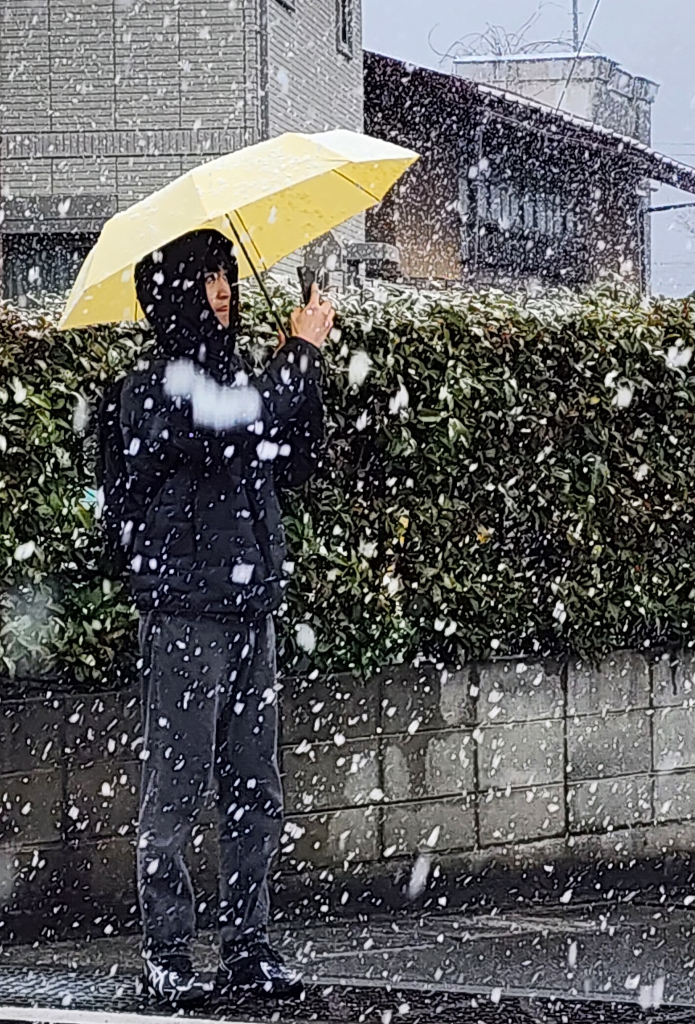 블로그 이미지